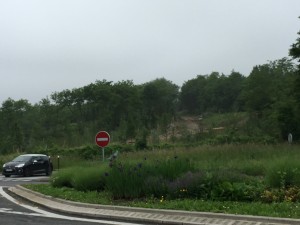 IMG_0452